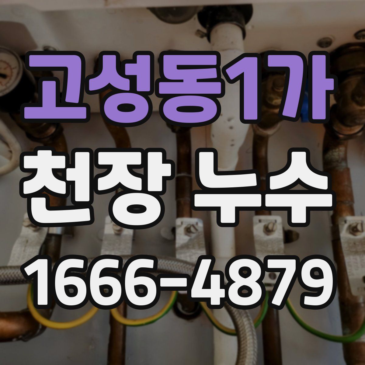 고성동1가 천장 누수