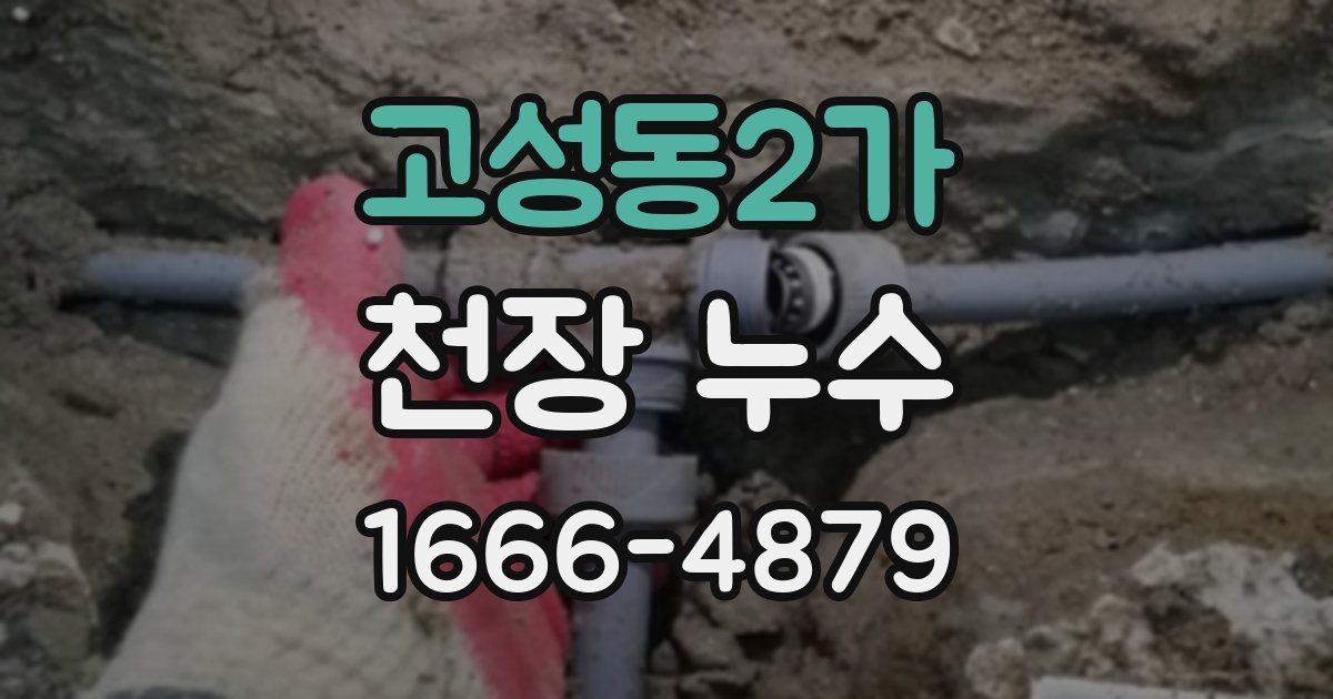 고성동2가 천장 누수