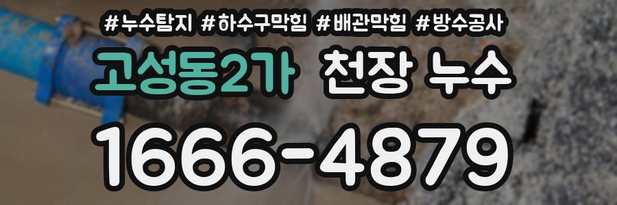 고성동2가 천장 누수