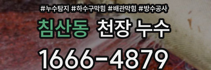 침산동 천장 누수