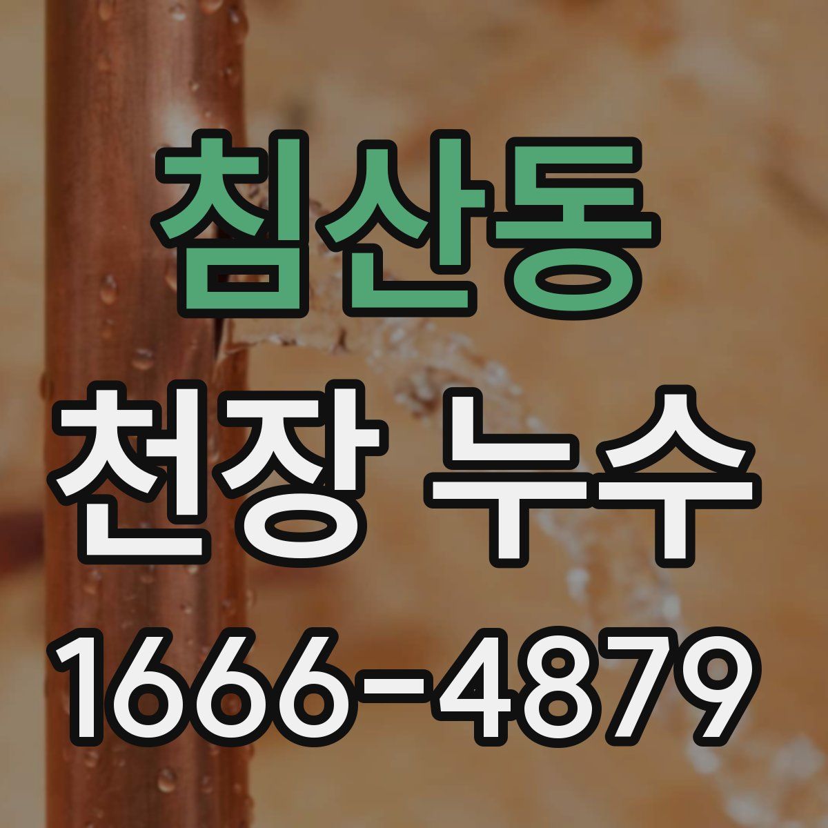 침산동 천장 누수
