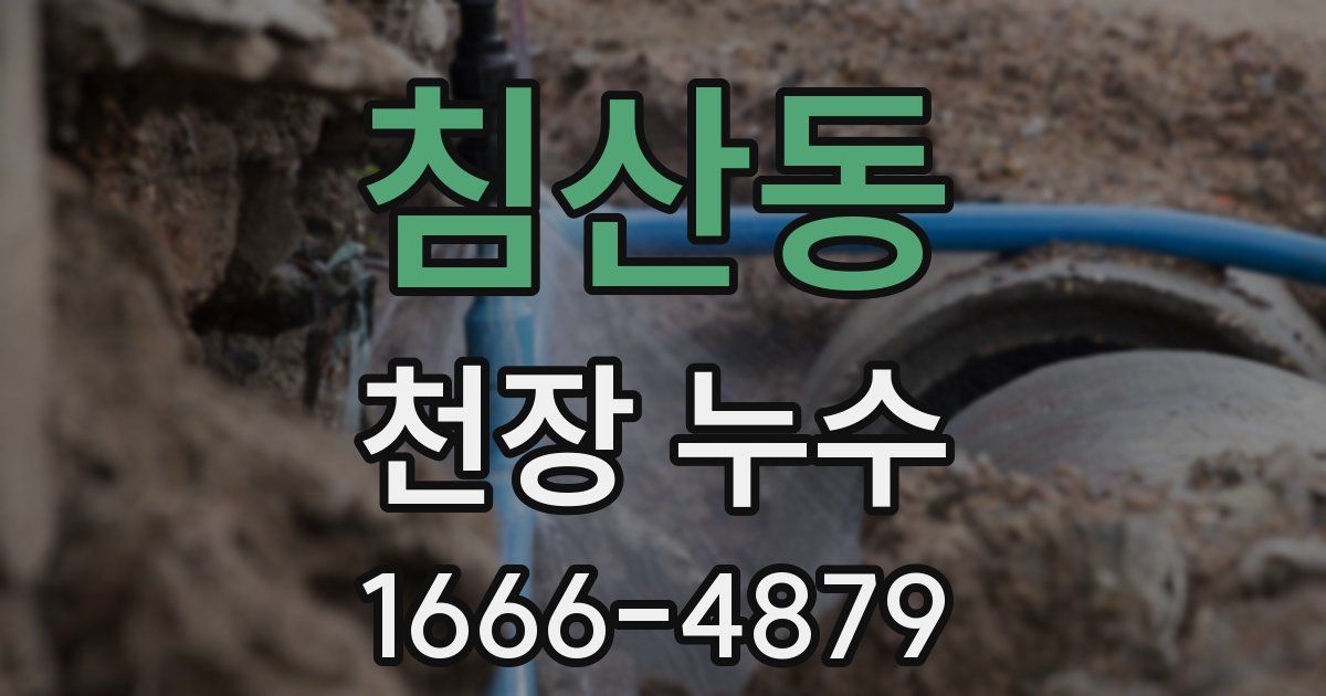 침산동 천장 누수