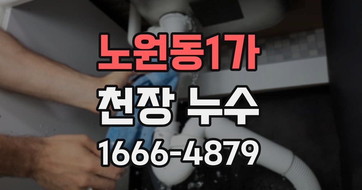 노원동1가 천장 누수