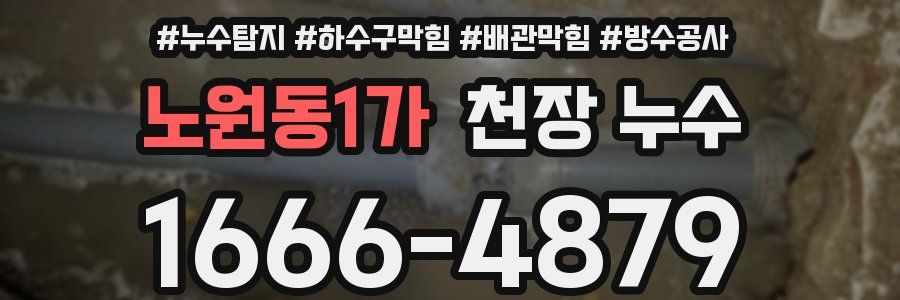 노원동1가 천장 누수