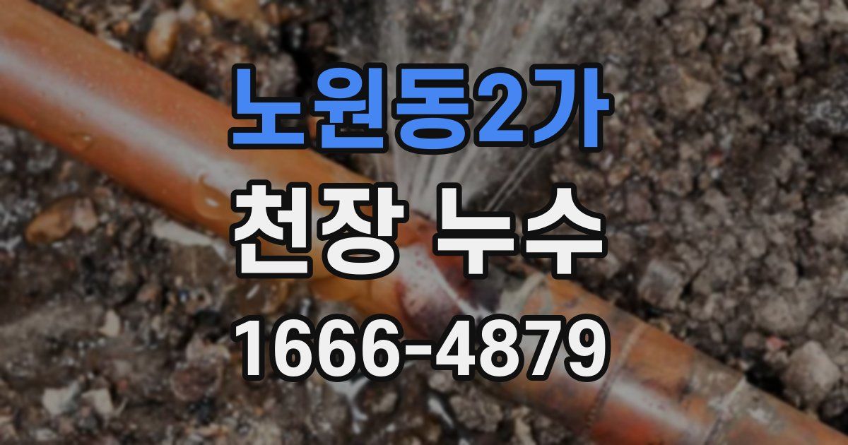 노원동2가 천장 누수