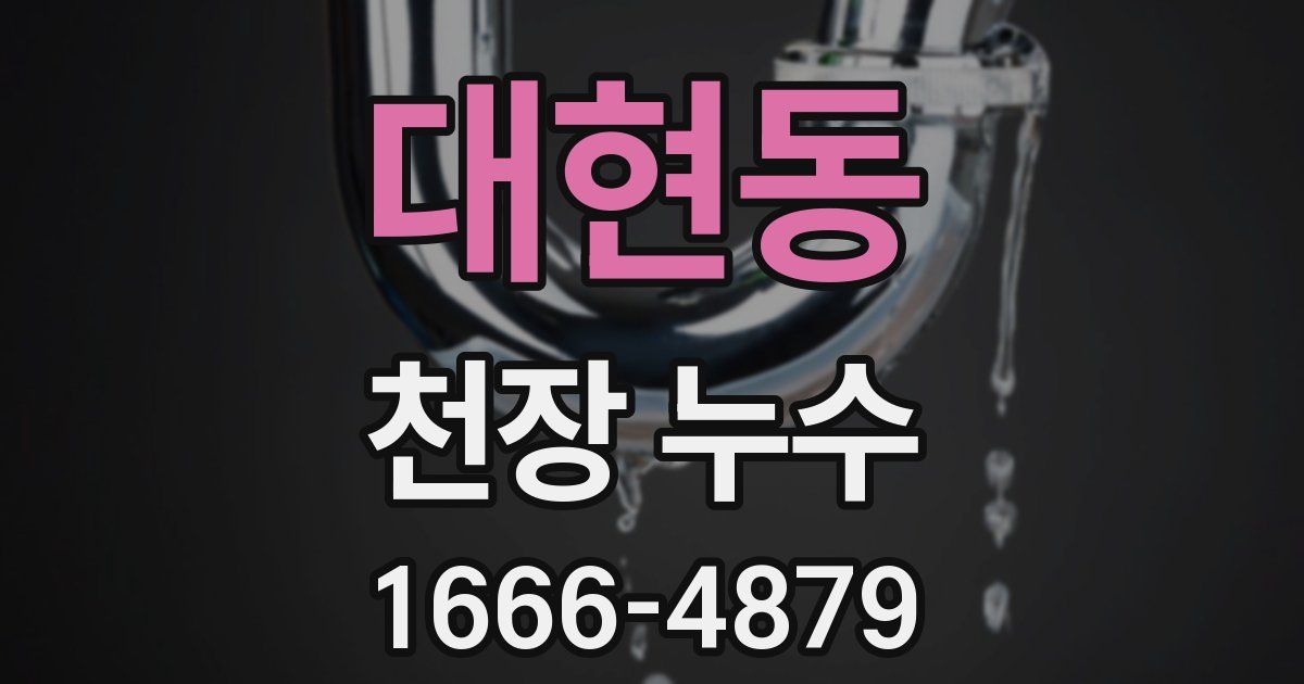대현동 천장 누수