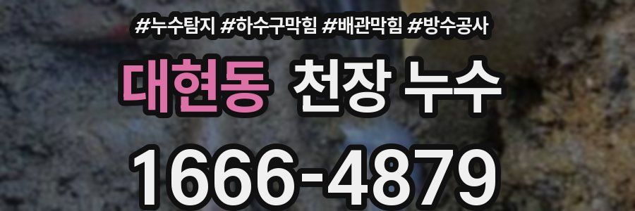 대현동 천장 누수