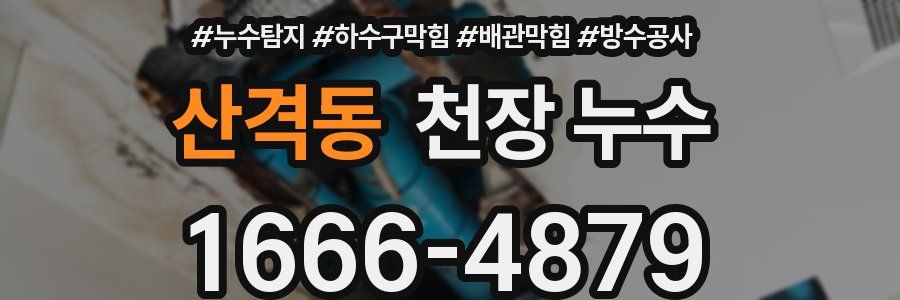 산격동 천장 누수