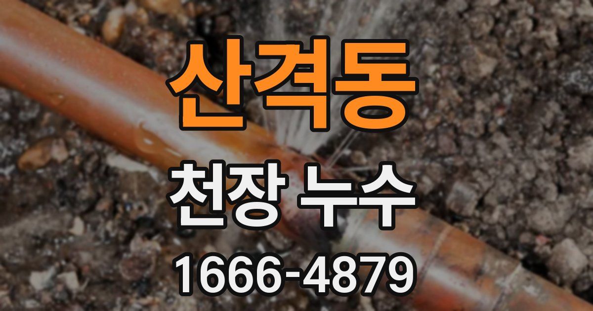 산격동 천장 누수