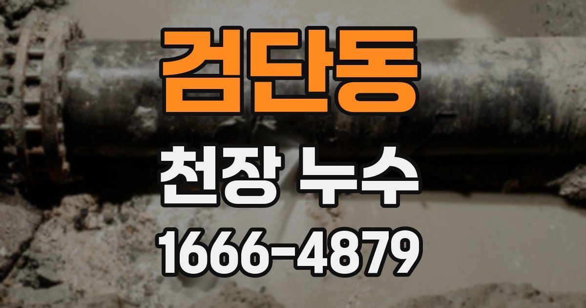 검단동 천장 누수