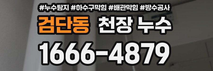 검단동 천장 누수