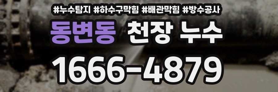 동변동 천장 누수