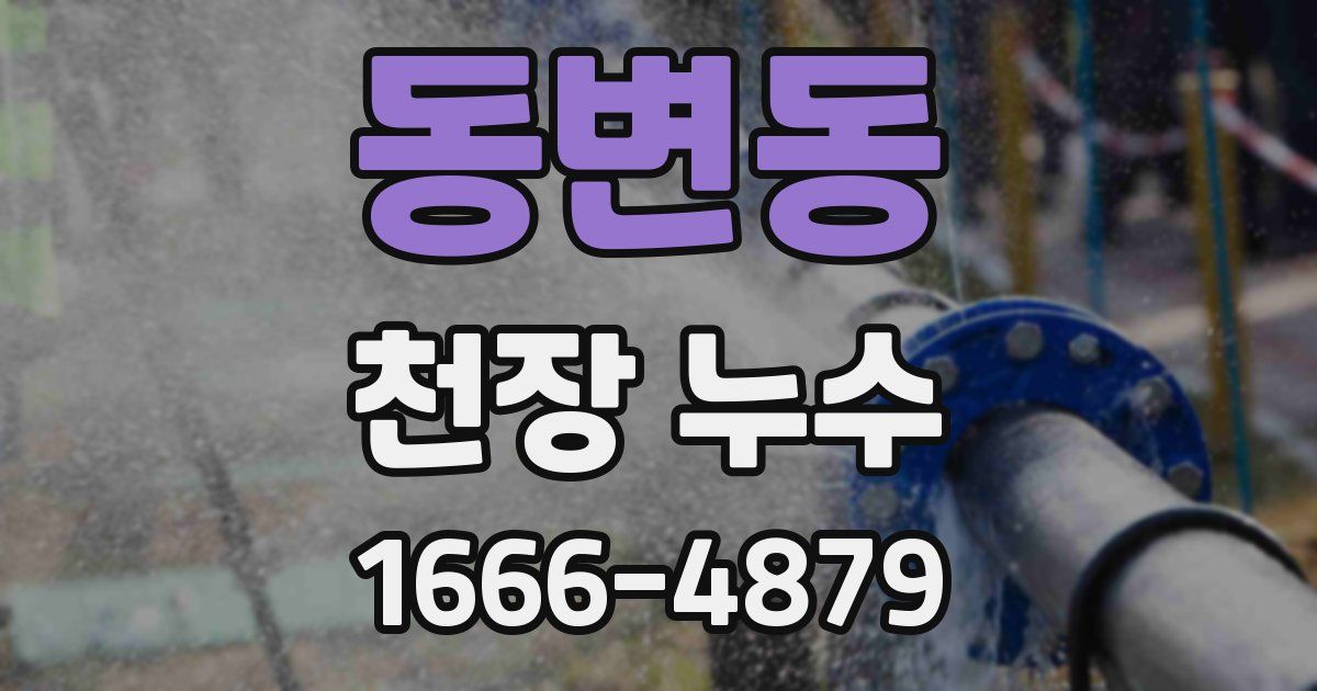 동변동 천장 누수