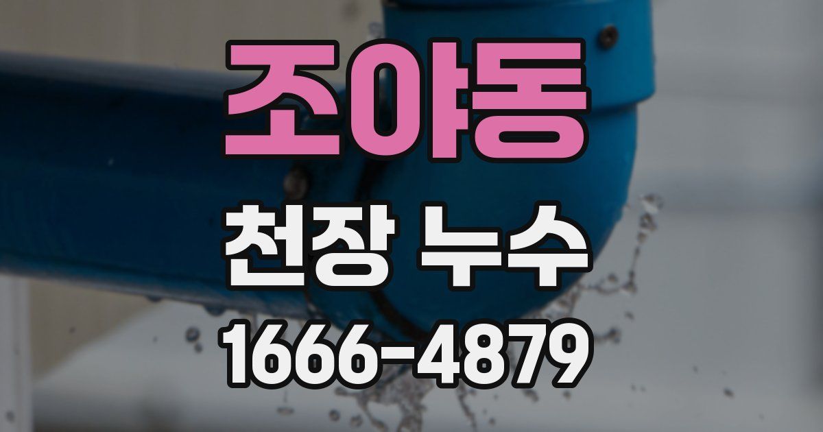 조야동 천장 누수