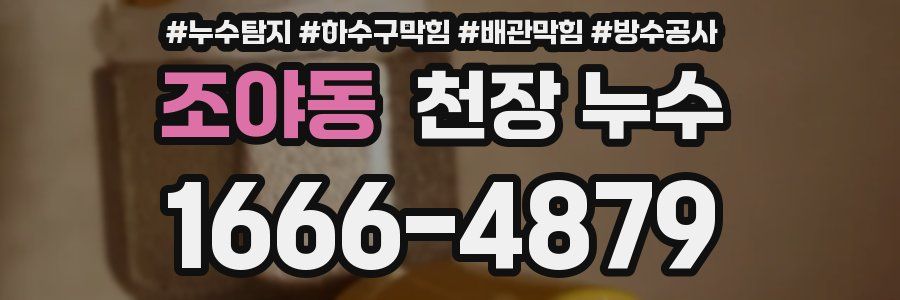 조야동 천장 누수