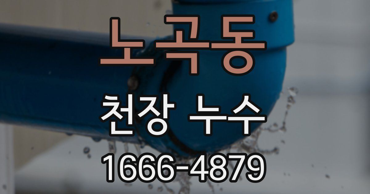 노곡동 천장 누수
