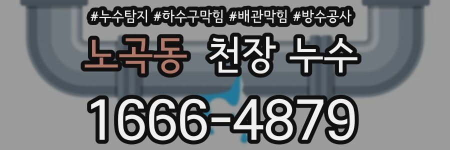 노곡동 천장 누수