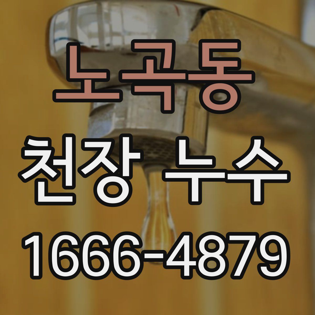 노곡동 천장 누수