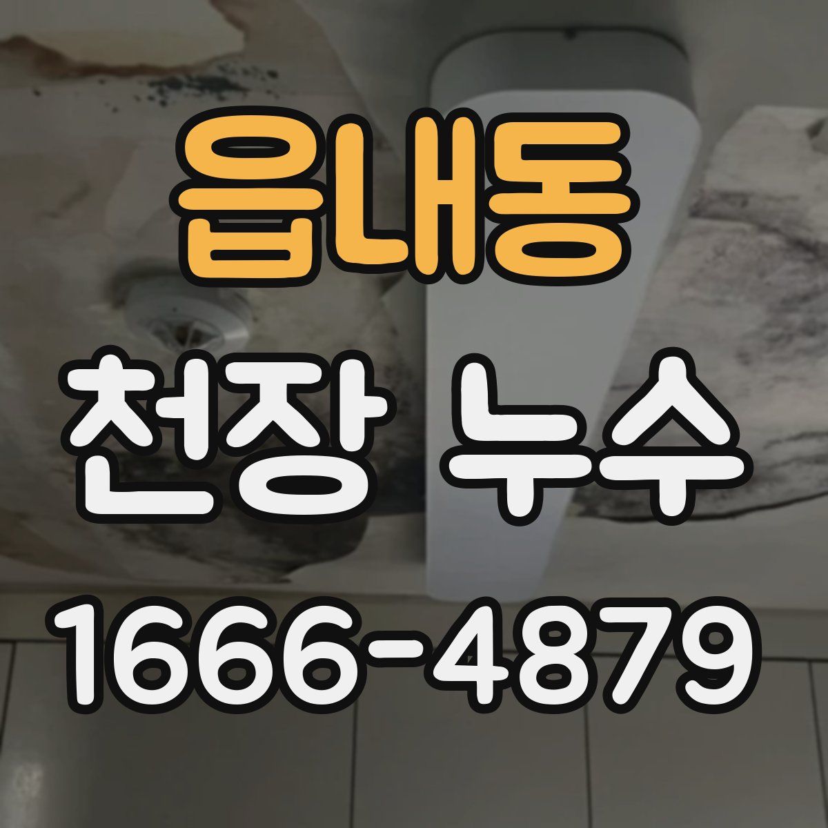 읍내동 천장 누수