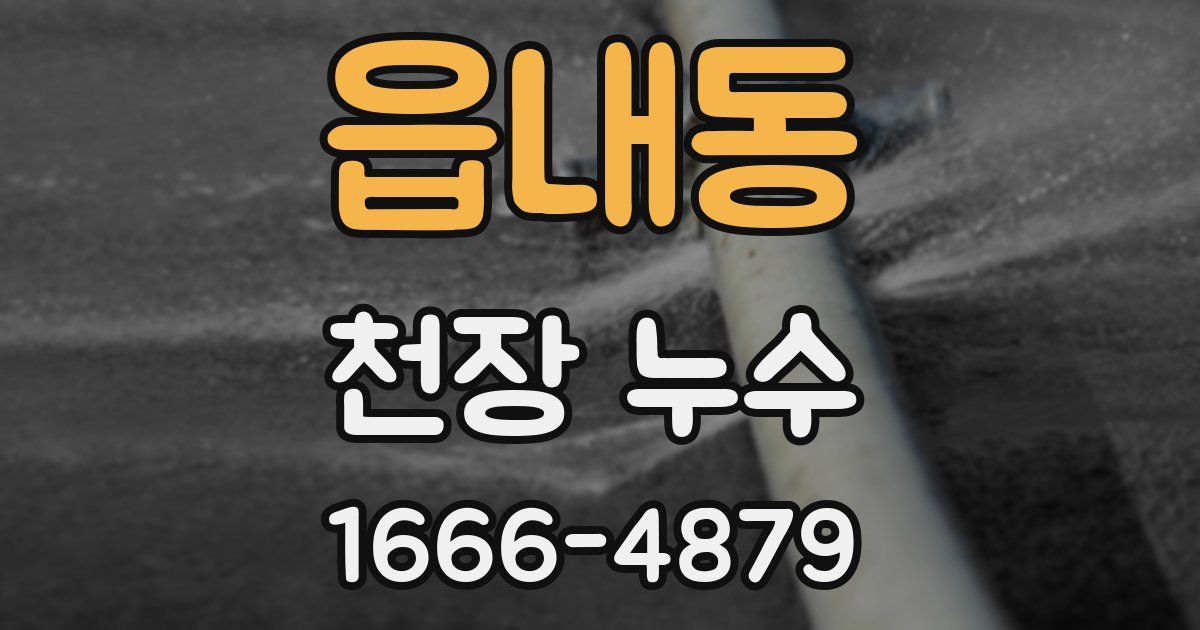 읍내동 천장 누수