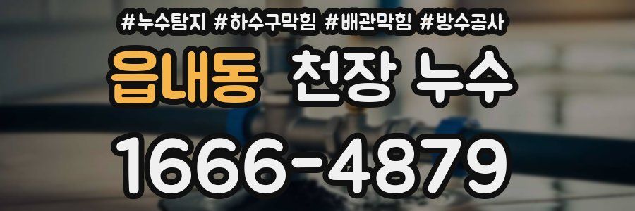 읍내동 천장 누수