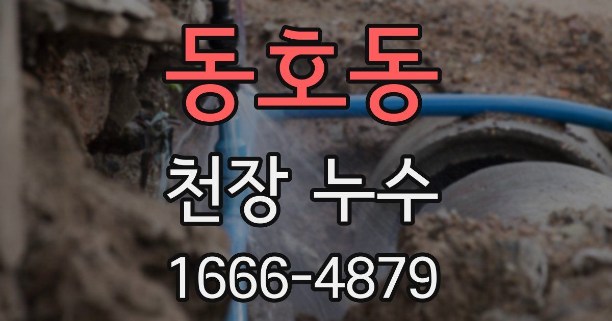 동호동 천장 누수