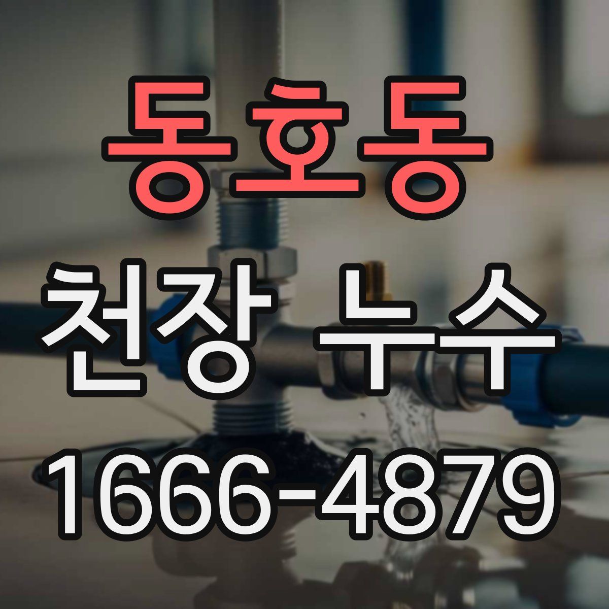 동호동 천장 누수