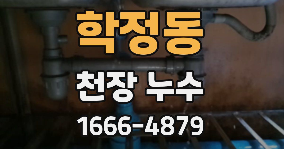 학정동 천장 누수