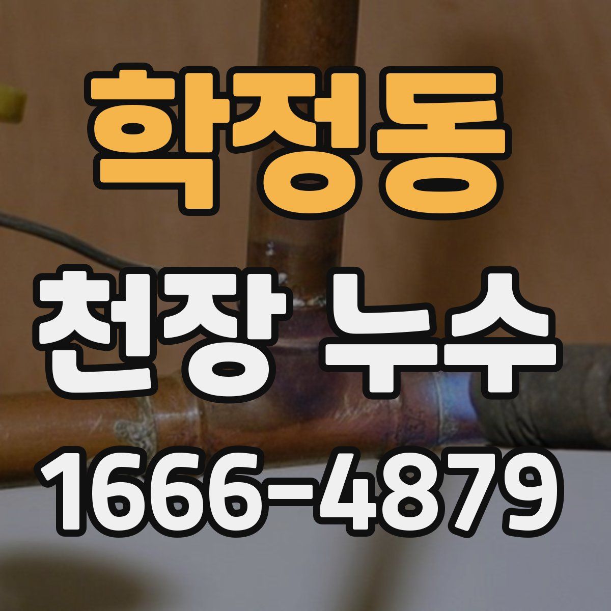 학정동 천장 누수