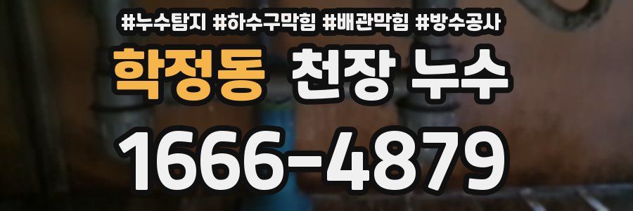 학정동 천장 누수
