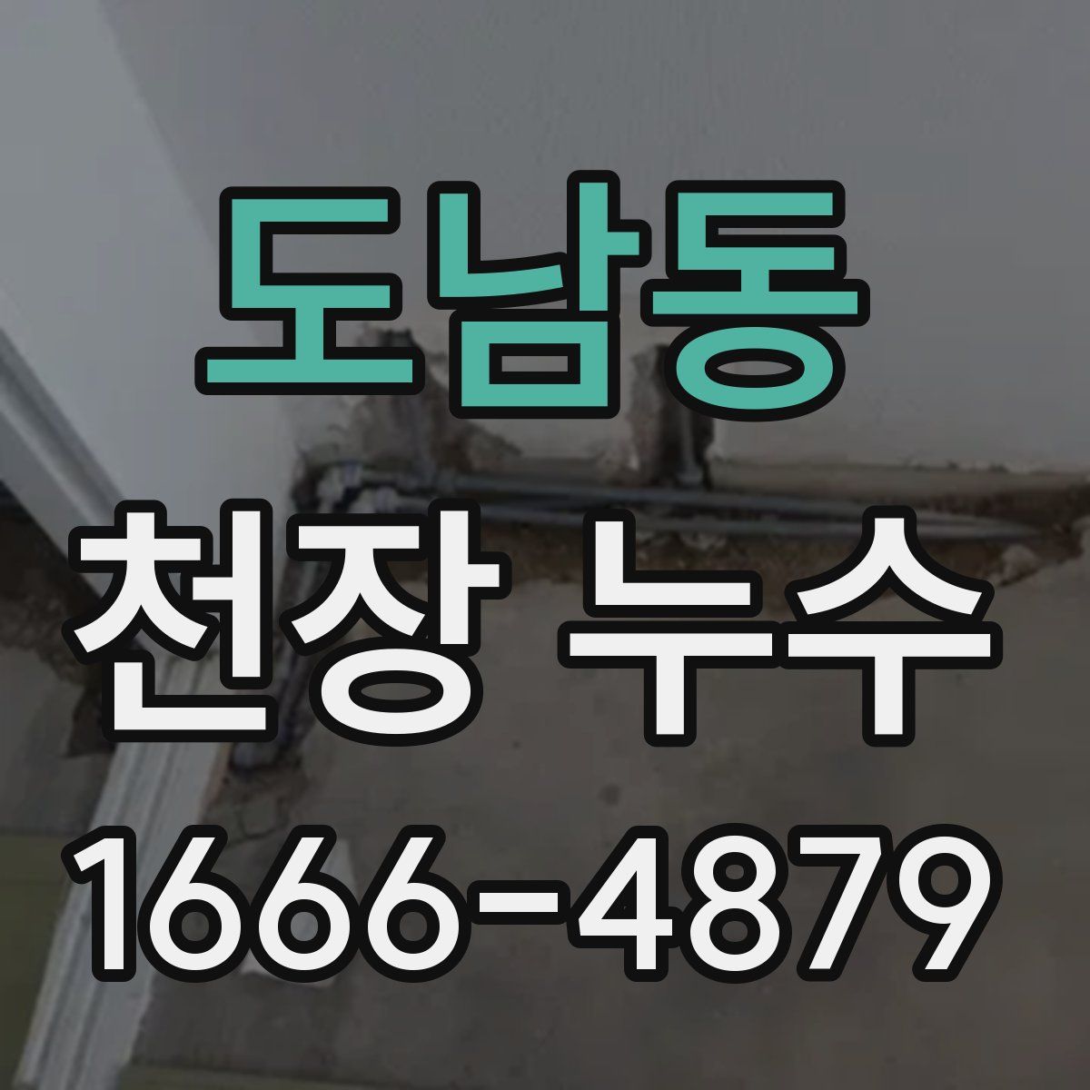 도남동 천장 누수