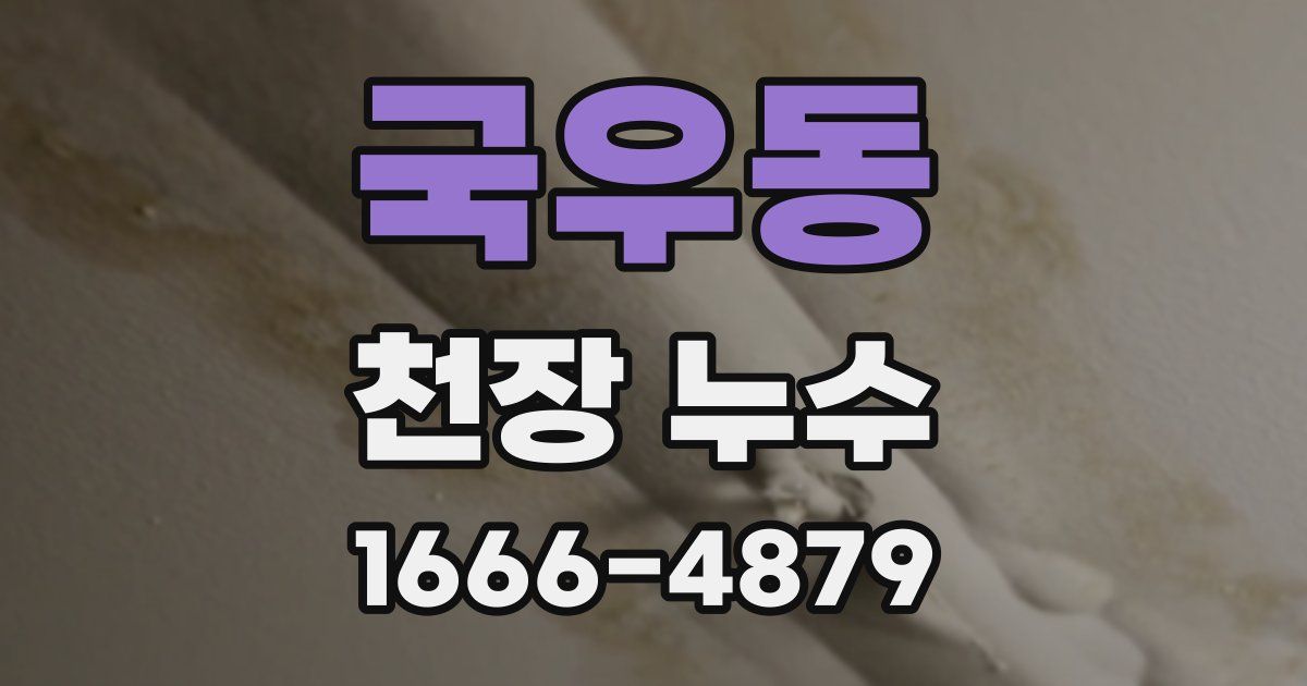 국우동 천장 누수
