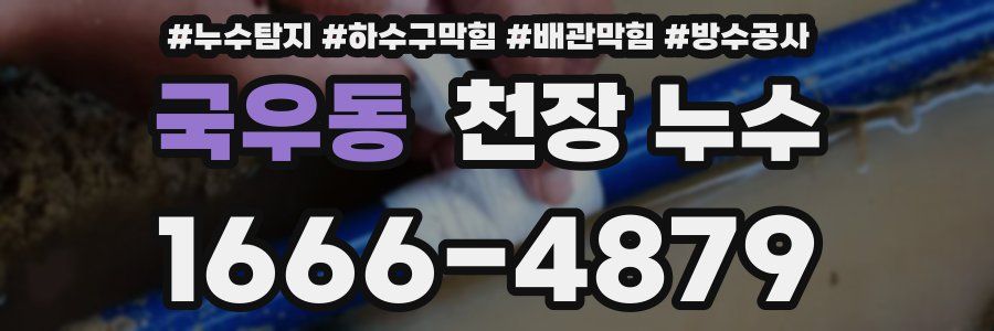 국우동 천장 누수