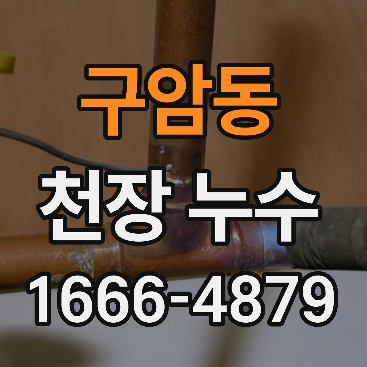 구암동 천장 누수