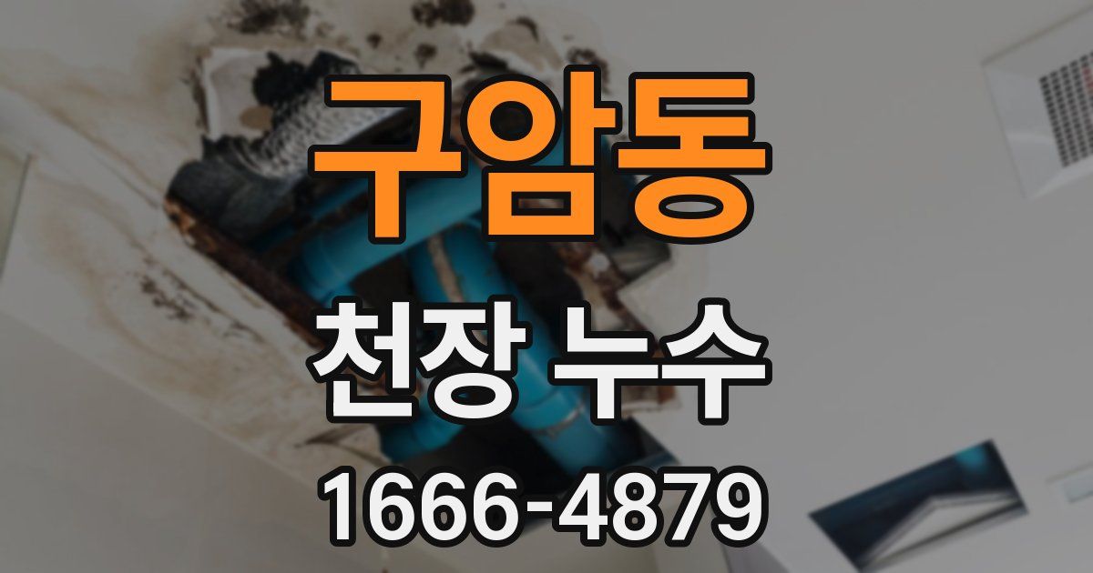 구암동 천장 누수