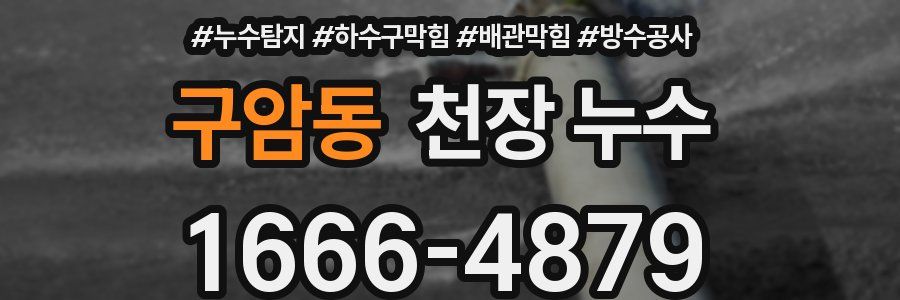 구암동 천장 누수