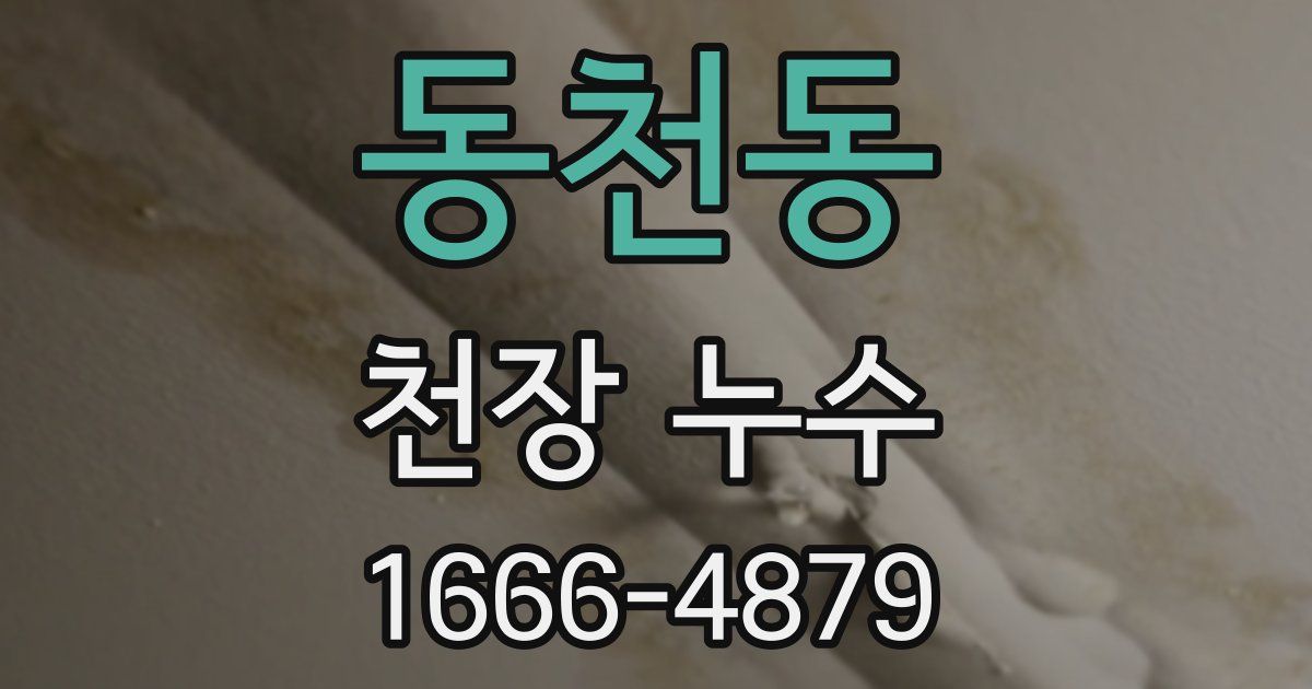 동천동 천장 누수