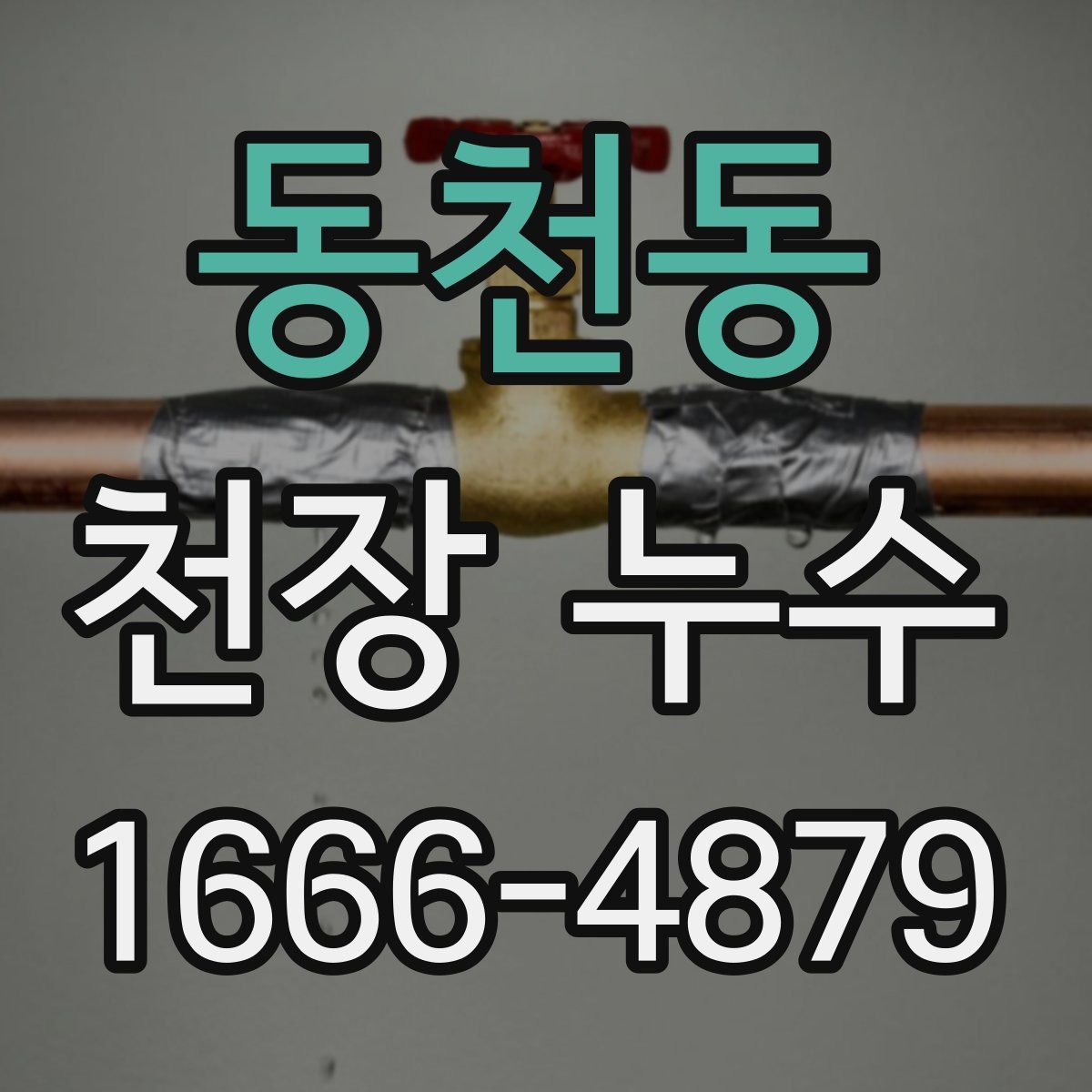 동천동 천장 누수