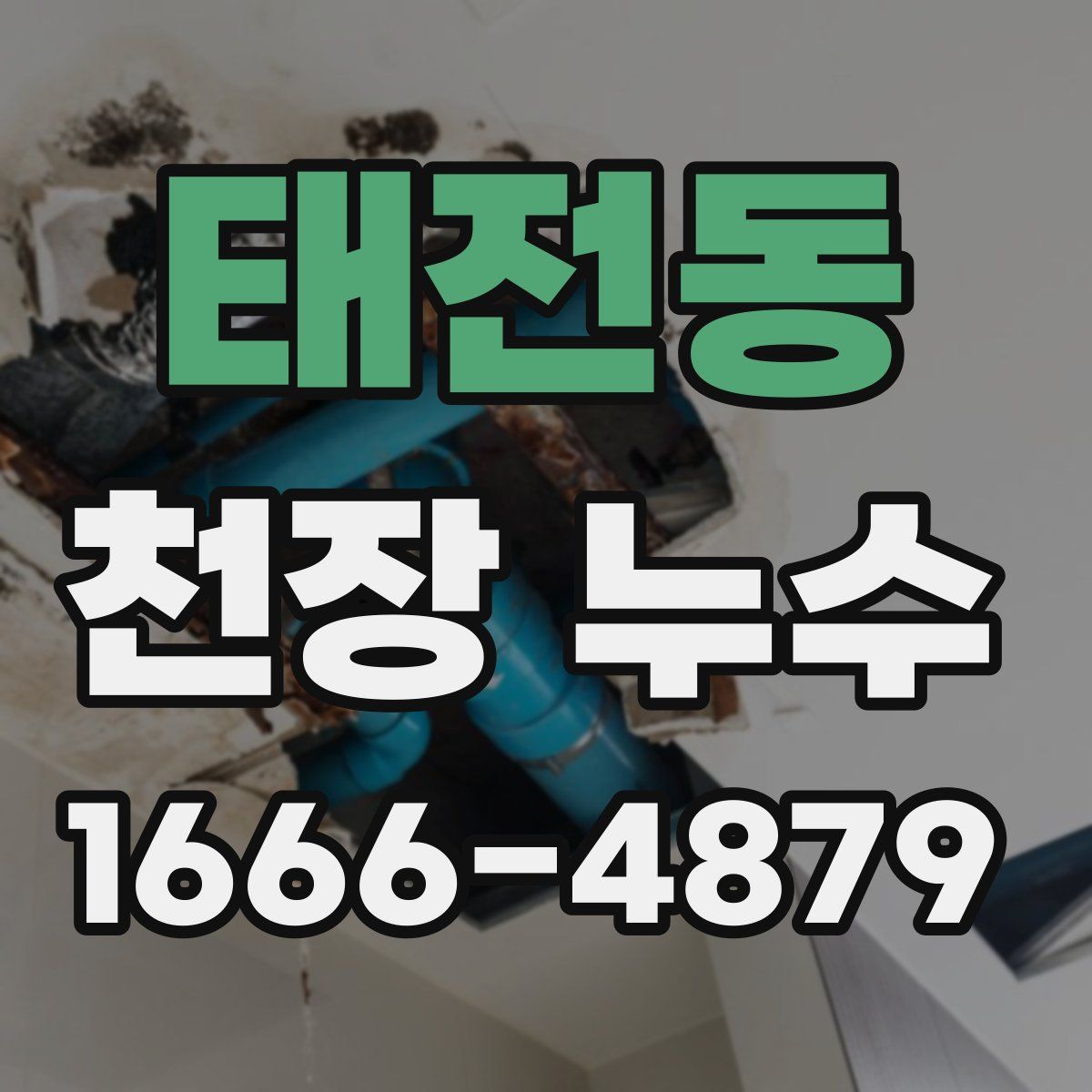 태전동 천장 누수