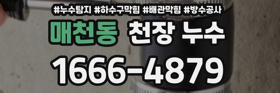 매천동 천장 누수