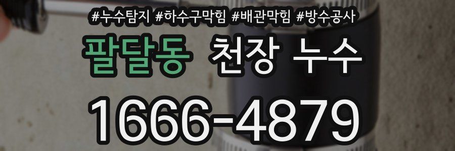 팔달동 천장 누수