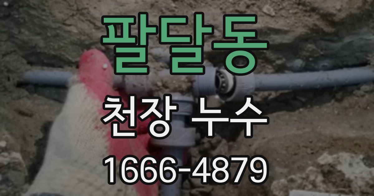 팔달동 천장 누수