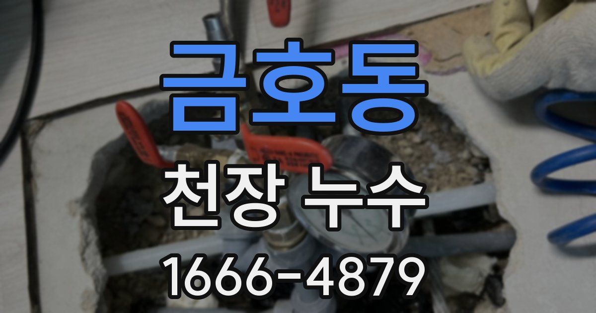 금호동 천장 누수