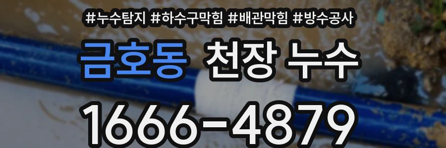 금호동 천장 누수