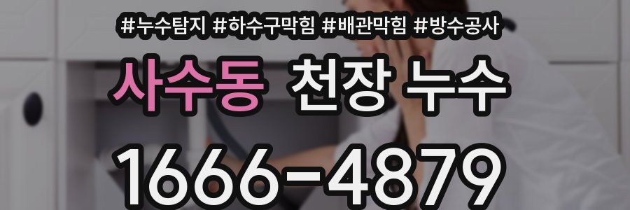 사수동 천장 누수