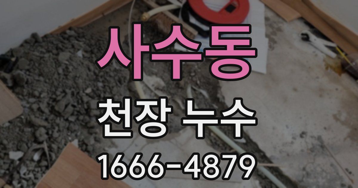 사수동 천장 누수