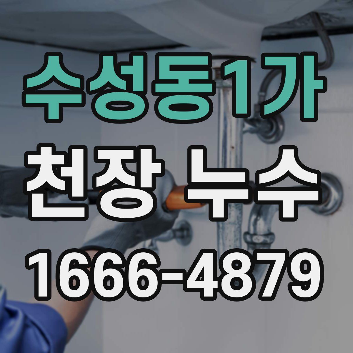 수성동1가 천장 누수
