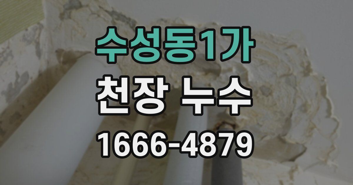 수성동1가 천장 누수