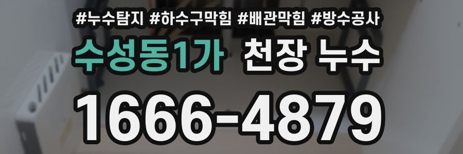 수성동1가 천장 누수