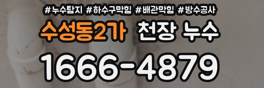 수성동2가 천장 누수